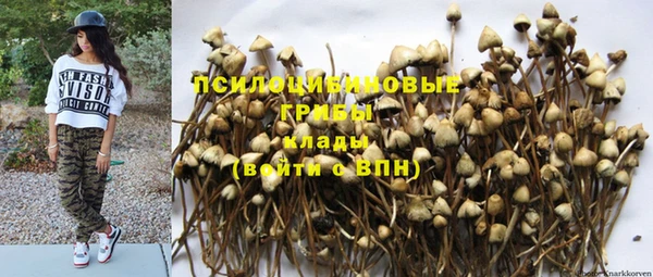 ECSTASY Белоозёрский